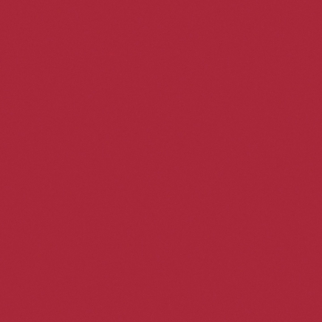 307-60 (01) Красный