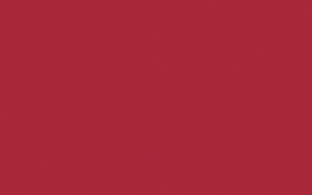 307-60 (01) Красный