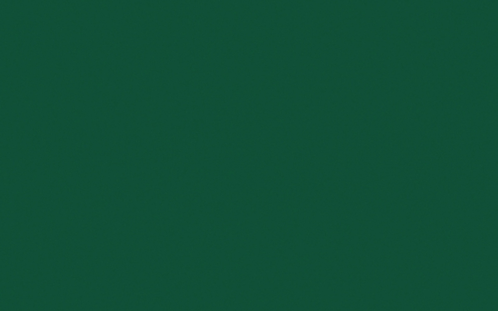 79-60 (01) Зеленый