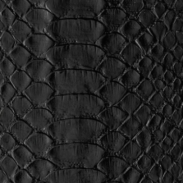 14298 Snake Nero (2600x1000x1.6)
